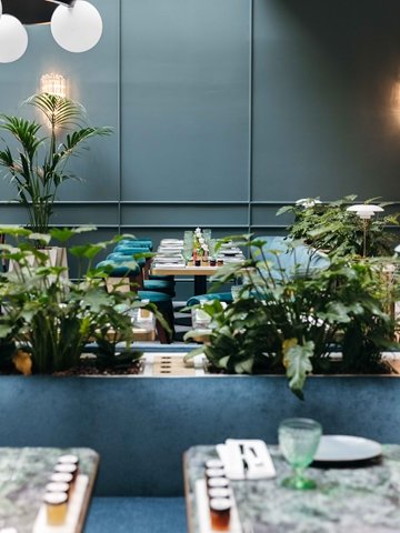 Kimpton st honor paris montecito
